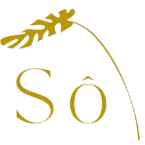 SÔ Concept Store